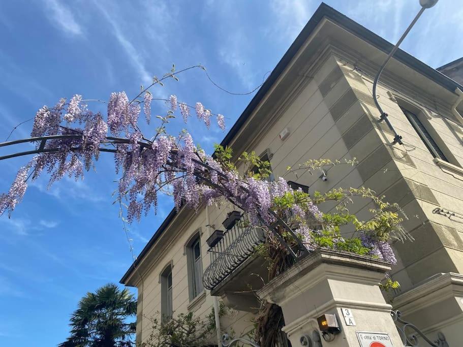 Spaziotonico Intero Pace E Relax Turín